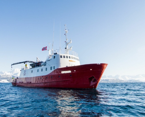 Skitourenreise in Norwegen mit der Polargirl