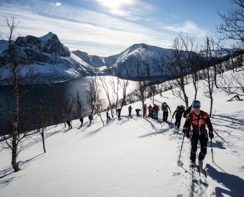 Einsame Skitouren in Senja direkt vom Fjord